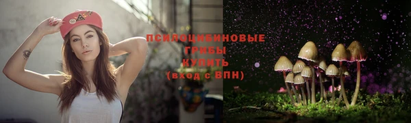 apvp Алексин