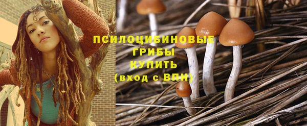 амф Алзамай