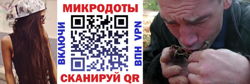 Псилоцибиновые грибы Psilocybine cubensis  Щигры 